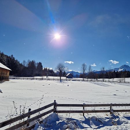 Appartement Bergsee Sun - Am Wildsee - Atemberaubende Aussicht Seefeld in Tirol Eksteriør billede