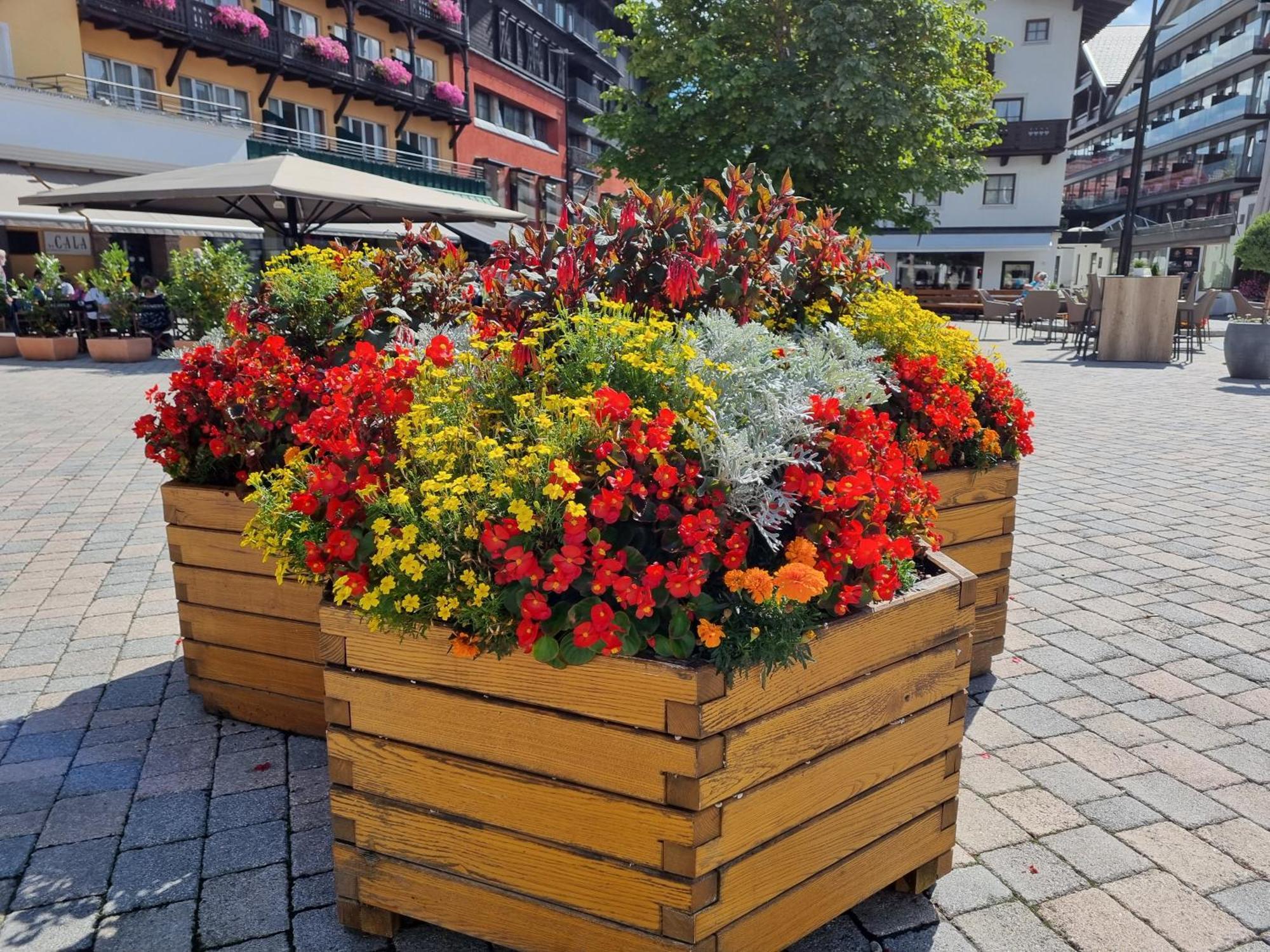 Appartement Bergsee Sun - Am Wildsee - Atemberaubende Aussicht Seefeld in Tirol Eksteriør billede