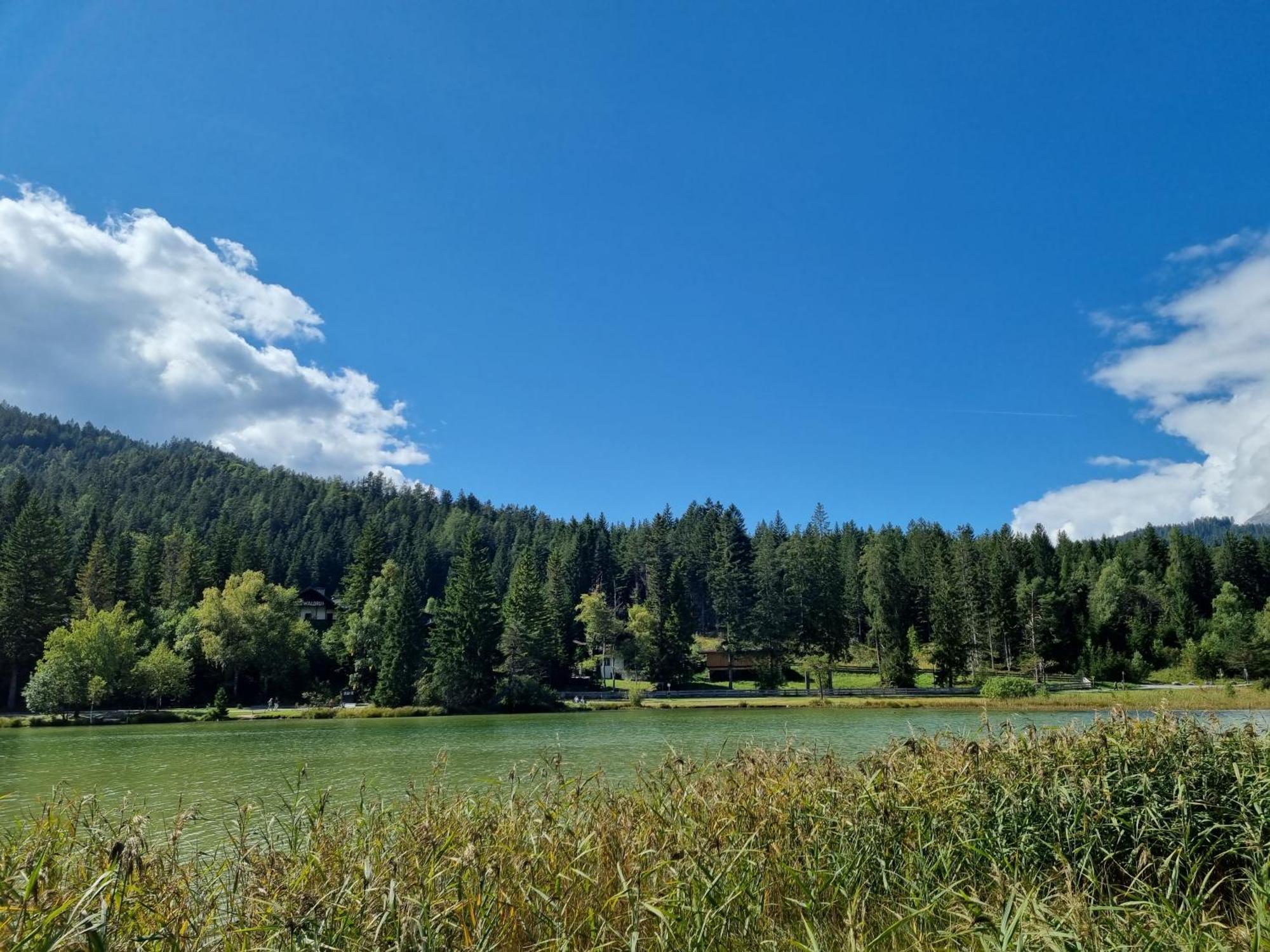 Appartement Bergsee Sun - Am Wildsee - Atemberaubende Aussicht Seefeld in Tirol Eksteriør billede