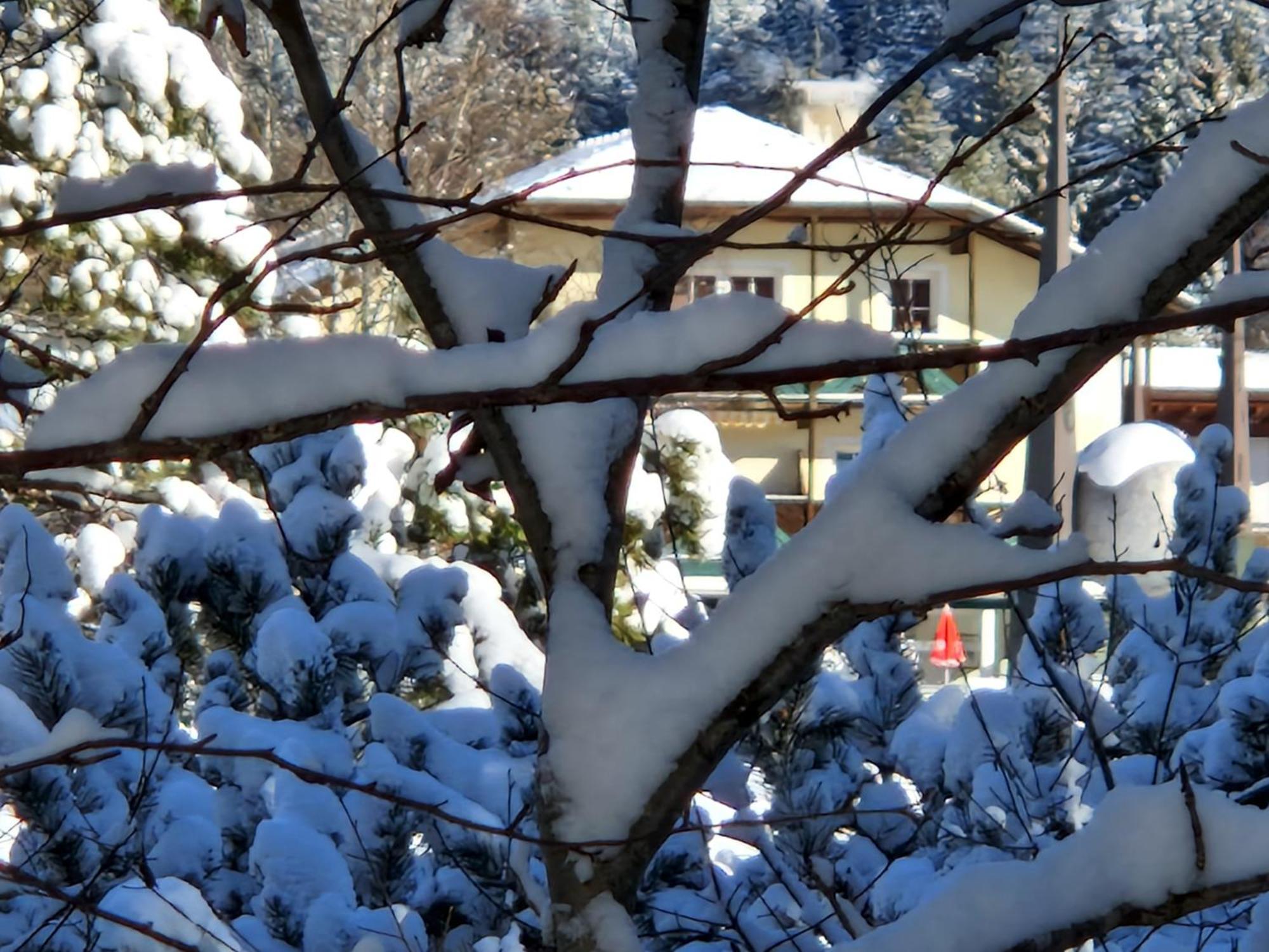 Appartement Bergsee Sun - Am Wildsee - Atemberaubende Aussicht Seefeld in Tirol Eksteriør billede