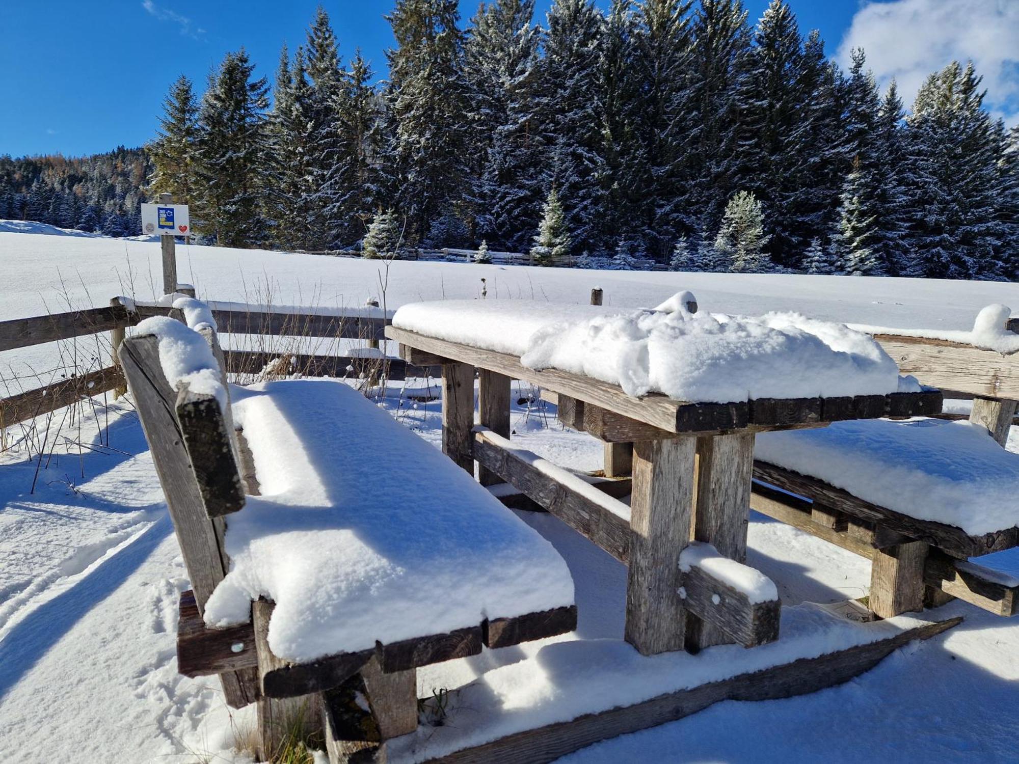 Appartement Bergsee Sun - Am Wildsee - Atemberaubende Aussicht Seefeld in Tirol Eksteriør billede