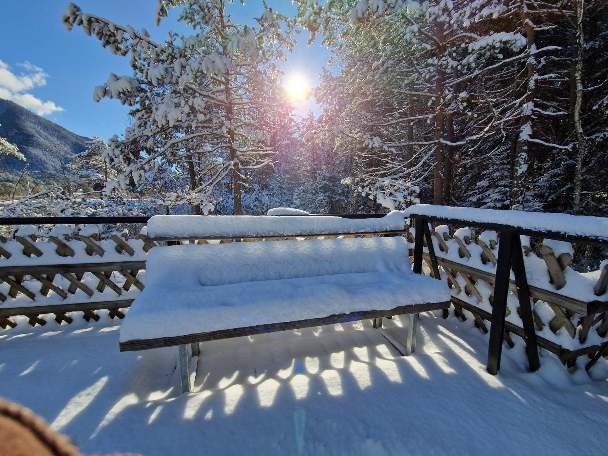 Appartement Bergsee Sun - Am Wildsee - Atemberaubende Aussicht Seefeld in Tirol Eksteriør billede